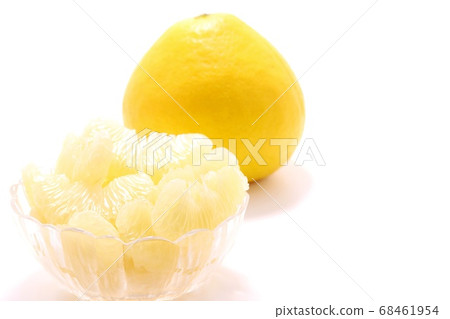 Bundan Tosa Large Citrus Dessert Light Background 68461954