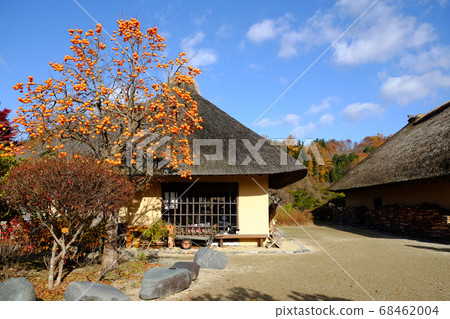 秋天的Tono Denshoen 68462004