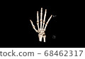 Computed Tomography Volume Rendering examination of the hand showing normal anatomy ( CT VR hand). 3D rendering Computed Tomography Volume Rendering examination of the hand showing normal anatomy ( CT VR hand). 3D rendering 68462317