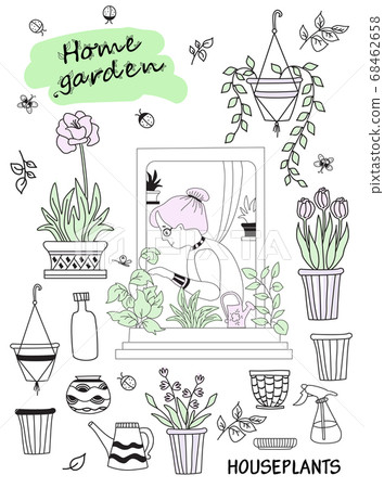 houseplants in modern home and people. Elderly woman in green interior. Set of cute vector doodles - woman in the window with flowerpots and flowers, pots and tools. Hobbies and green house 68462658