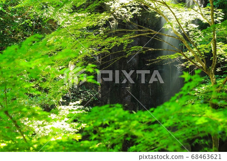 Momoo waterfall Momoo waterfall 68463621