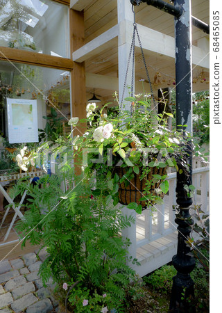 Foothill garden 68465085