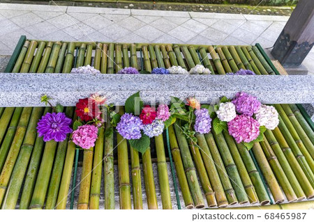 宮城縣岩沼市竹菊神社繡球花花球的竹水神社 68465987