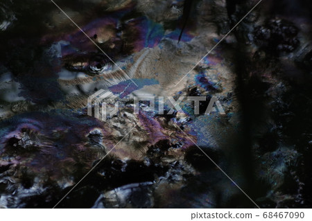 濕地浮油 68467090