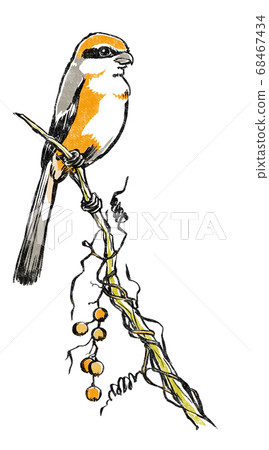 Mozzarella staying on a dead branch wrapped with fruit-bearing hemlock vines print style Mozzarella staying on a dead branch wrapped with fruit-bearing hemlock vines print style 68467434