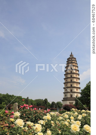 中國河北省開元寺塔 68467529