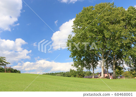 夏天的小岩井農場風景 68468001