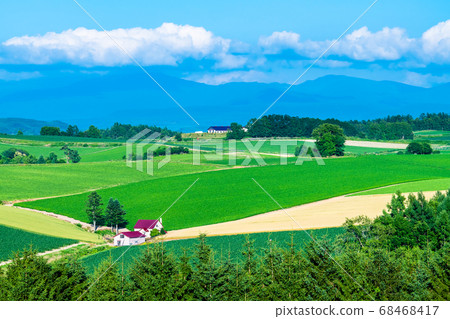 北海道美瑛町,紅頂山的夏日風景(新榮之岡全景) 北海道美瑛町,紅頂山的夏日風景(新榮之岡全景) 68468417