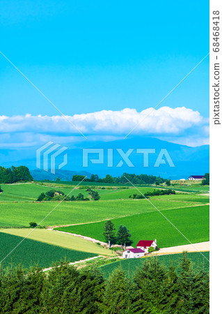 北海道美瑛町,紅頂山的夏日風景(新榮之岡全景) 北海道美瑛町,紅頂山的夏日風景(新榮之岡全景) 68468418