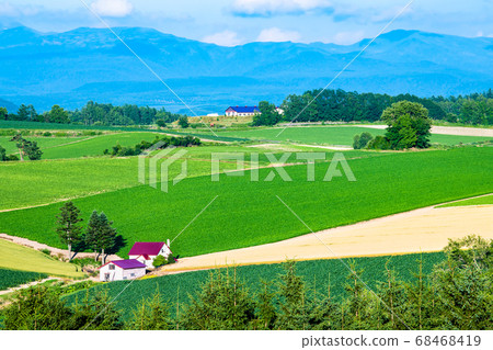 北海道美瑛町,紅頂山的夏日風景(新榮之岡全景) 北海道美瑛町,紅頂山的夏日風景(新榮之岡全景) 68468419