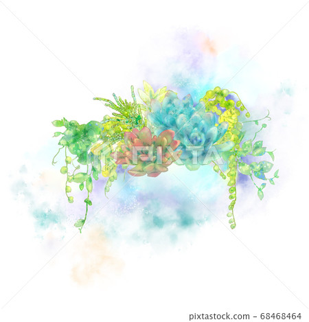 Cute hand drawn watercolor illustration of succulents 68468464