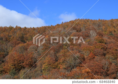 Autumn leaves of the day salt and leaves line Autumn leaves of the day salt and leaves line 68468840