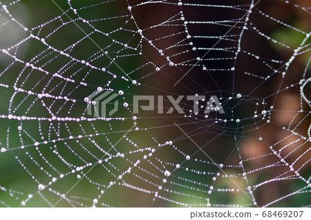 清潔工作 清潔工作 68469207