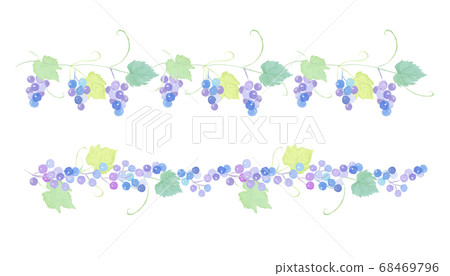水彩葡萄線水彩插圖 水彩葡萄線水彩插圖 68469796