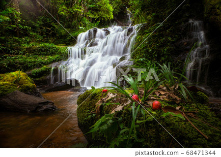 Unseen Man daeng water fall in phuhinrongkla park 68471344