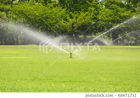 Watering lawn Watering lawn 68471731