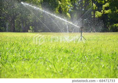 Watering lawn Watering lawn 68471733