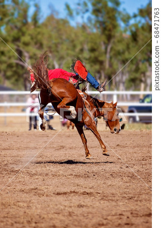 Cowboy Rides Bucking Rodeo Horse Cowboy Rides Bucking Rodeo Horse 68471763