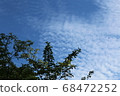 藍天和樹木 68472252