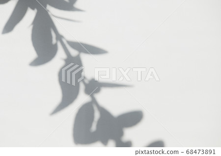 White blurred surface with shadows from tree branches. Abstract photo overlay plant texture light background. Copyspace. White blurred surface with shadows from tree branches. Abstract photo overlay plant texture light background. Copyspace. 68473891