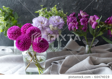 Dahlia on the table Dahlia on the table 68474019