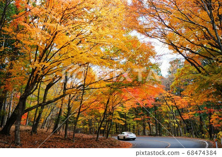 Autumn leaves drive Autumn leaves drive 68474384