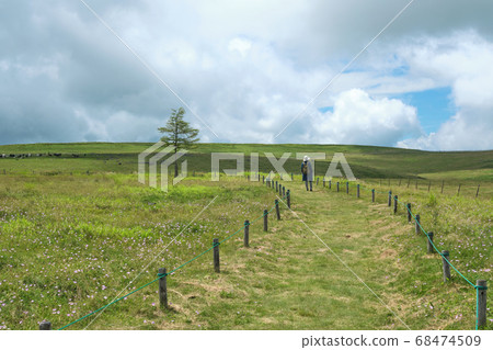 A woman taking a walk with the Utsukushigahara Plateau in summer A woman taking a walk with the Utsukushigahara Plateau in summer 68474509