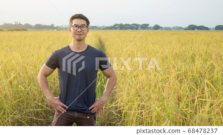Asian young man standing in a field of rice. 68478237