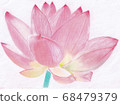 Large lotus flower pastel painting 68479379