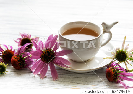 Echinacea tea with lemon and fresh flowers. Echinacea tea with lemon and fresh flowers. 68479619