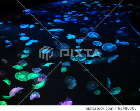 水母水族館與多彩的燈光 68480505