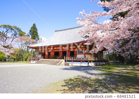 Daigoji Temple, Fushimi Ward, Kyoto City, Kyoto Prefecture, Japan Daigoji Temple, Fushimi Ward, Kyoto City, Kyoto Prefecture, Japan 68481521