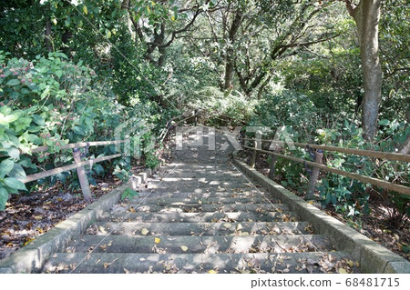 Stairs in the forest 68481715