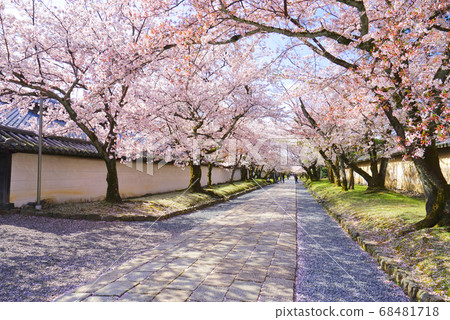日本京都府京都市伏見區大高寺 68481718