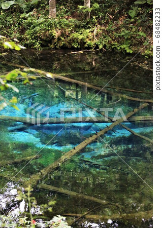 Konoike Pond (Kiyosato-cho, Hokkaido) 68482233