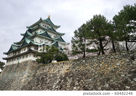 名古屋城櫻花 68482246