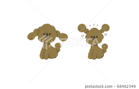 Hand drawn puppy vector illustration (Toy poodle sitting) 68482349
