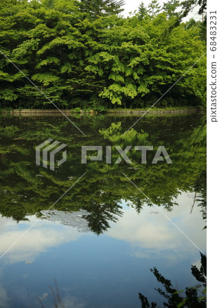 Kunisaki pond in Karuizawa Kunisaki pond in Karuizawa 68483231