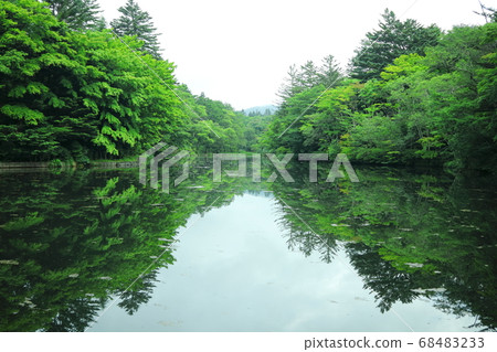 Kunisaki pond in Karuizawa 68483233