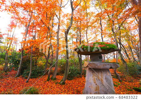 Maple Garden, Nagaoka City, Niigata Prefecture, Japan Maple Garden, Nagaoka City, Niigata Prefecture, Japan 68483322