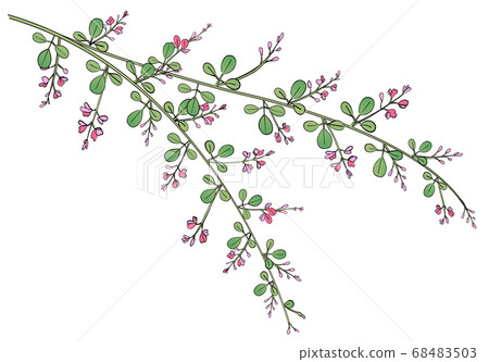 秋七草藥Ha插圖 68483503