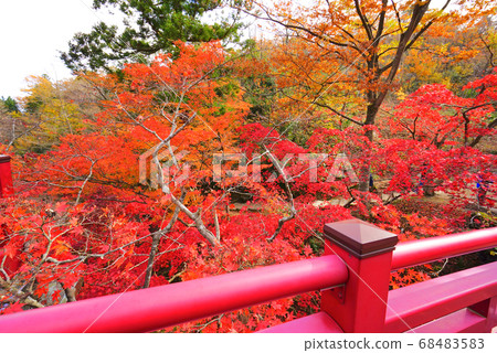 日本新潟縣彌彥村彌彥公園 68483583