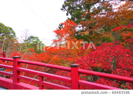 日本新潟縣彌彥村彌彥公園 68483586
