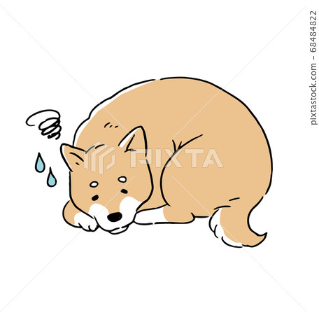 身體不適的柴犬的線條藝術插圖 68484822