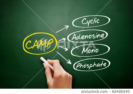 CAMP - Cyclic Adenosine MonoPhosphate acronym 68486840
