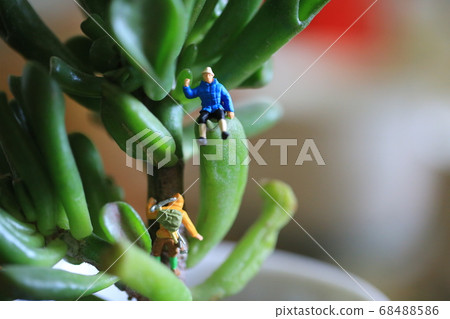 climb to the top of potting plant climb to the top of potting plant 68488586
