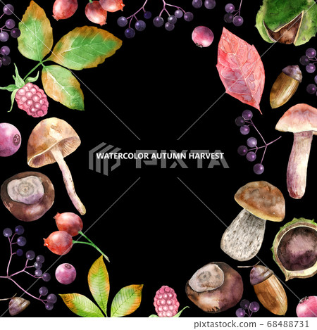 Watercolor border of autumn berries, mushrooms Watercolor border of autumn berries, mushrooms 68488731