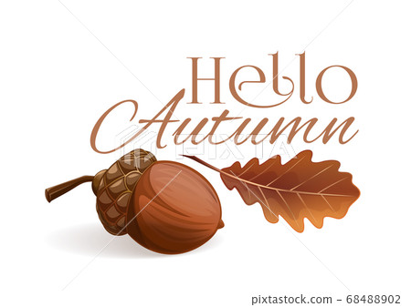 Autumn design with an acorn and a dried oak leaf Autumn design with an acorn and a dried oak leaf 68488902