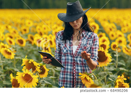 Woman farmer agronomist in sunflower field with tablet checking harvest Woman farmer agronomist in sunflower field with tablet checking harvest 68490206