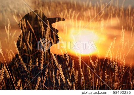 Woman farmer multiple exposure silhouette in cowboy hat at wheat field at sunset Woman farmer multiple exposure silhouette in cowboy hat at wheat field at sunset 68490226